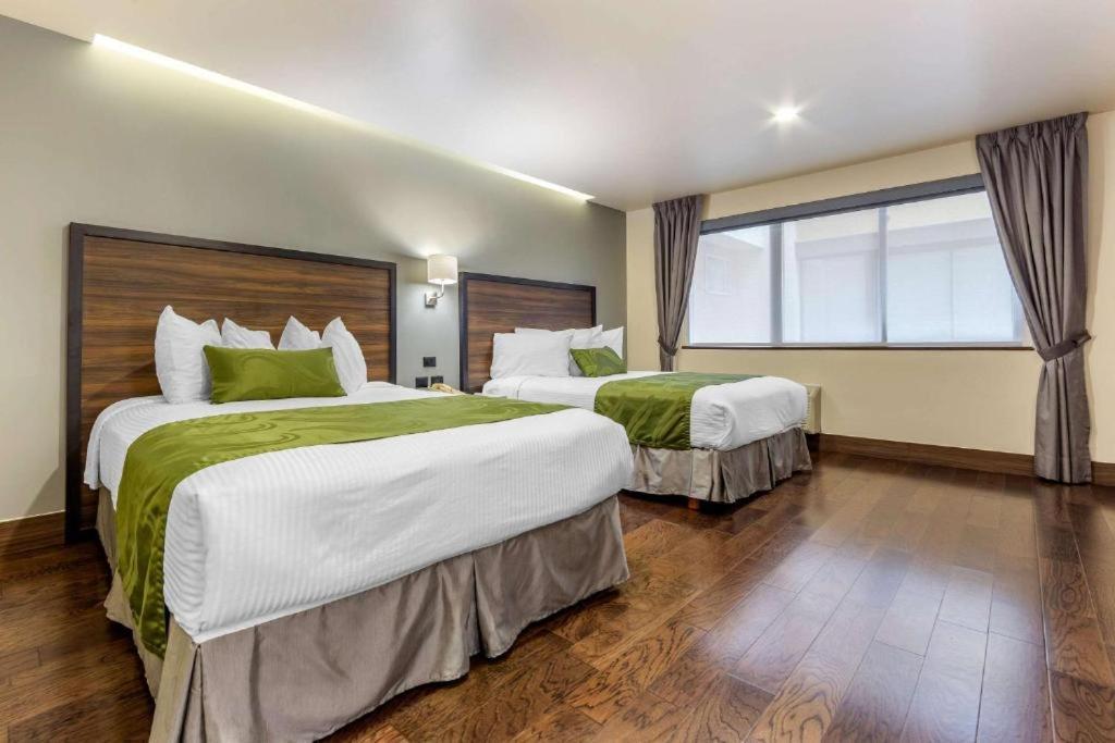 Quality Inn Chihuahua San Francisco Værelse billede