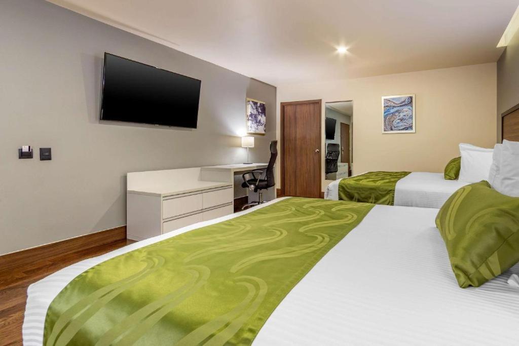 Quality Inn Chihuahua San Francisco Værelse billede